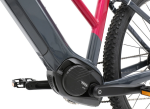 APACHE Wakita 3 MX, pneu 29", rám 15" (S), model 2026, barva antracit magenta - ZDARMA dopravné, odborná montáž, seřízení, dárkový poukaz na nákup příslušenství! (Záruka nejlepší ceny. Nalezli jste někde lepší cenu? Napište nám a zkusíme ji trumfnout...