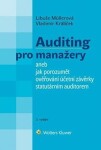 Auditing pro manažery