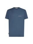 Pánské merino triko s krátkým rukávem ICEBREAKER Mens 150 Tech Lite SS Tee IB Wordmark, Dawn velikost: L