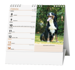 Stolní kalendář 2026 Baloušek IDEÁL - Pes - věrný přítel /s psími jmény/