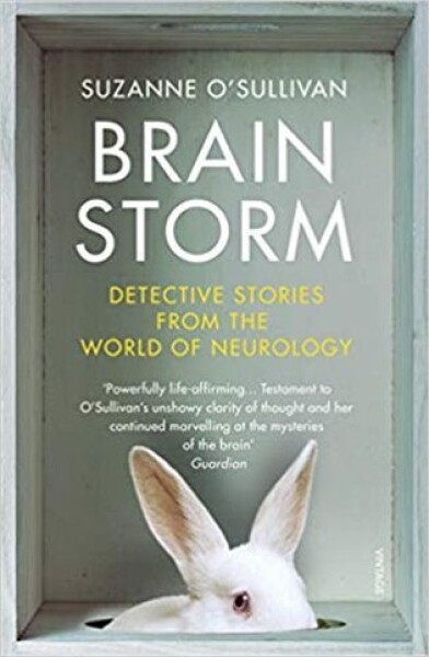 Brainstorm - Suzanne O’Sullivanová