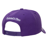 Mitchell & Ness Pánská kšiltovka Los Angeles Lakers NBA Shining Stars Pro Snapback