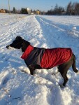 Terenc obleček pro psa na zip Barva: Růžová, Délka zad (cm): 50, Obvod hrudníku: 70 - 79 cm