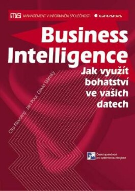 Business Intelligence - Jan Pour, Ota Novotný, Slánský David - e-kniha