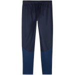 Puma Team Goal Training M kalhoty 658639 06 L