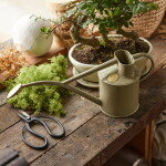 HAWS Konvička s kropítkem Rowley Ripple Lichen Green – 1 l, béžová barva, kov