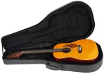 Tanglewood TW40-12 SD AN E Pickguard