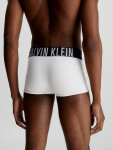 Pánské boxerky LOW RISE TRUNK 2PK Calvin Klein