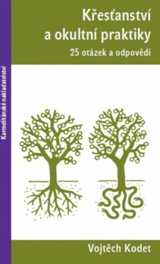 Křesťanství a okultní praktiky - 25 otázek a odpovědí - Vojtěch Kodet