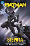 Batman 7: Slepota - Mikel Janín; Jorge Molina; Howard Porter; Joshua Williamson