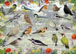 GIBSONS Puzzle RSPB: Šťastní ptáčci