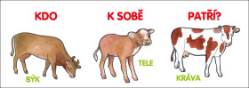 Kdo sobě patří?