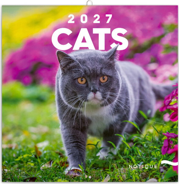 Kalendář 2027 poznámkový: Kočky 2027, 30 x 30 cm
