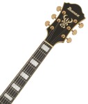 Ibanez AF95 Divine Amber