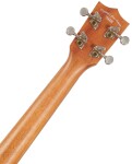 Tanglewood TWT 17 E