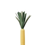 Rifle Paper Co. Sada propisek Tricolor Carrots – set 3 ks, multi barva, plast