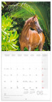 Kalendář 2025 poznámkový: Koně Christiane Slawik, 30 30 cm Christiane Slawik,