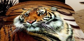 DumDekorace Oboustranné přehozy na postel v hnědo bílé barvě s leopardem Šířka: 200 cm | Délka: 220 cm 2ks 40x40 cm (standard zdarma) Šířka: 200 cm | Délka: 220 cm