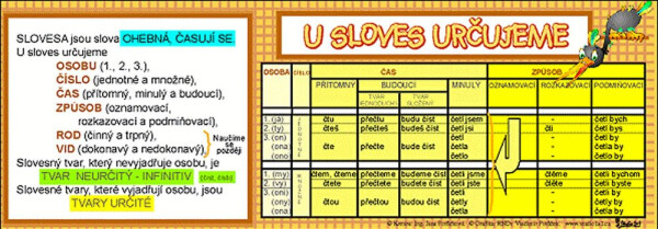 Sloves určujeme