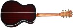 D'Angelico Premier Tammany Trans Black Cherry Burst