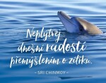 Magnet na lednici Neplýtvej dnešní radostí přemýšlením zítřku Sri Chinmoy