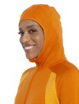 ICEBREAKER Wmns Merino Quantum ZoneKnit LS Zip Hoodie, Earth/Solar velikost: XS