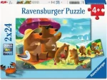 Ravensburger Puzzle: Medvědí rodinka na výletě