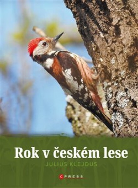 Rok českém lese