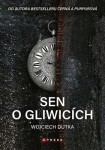 Sen Gliwicích