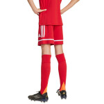Šortky adidas Squadra 25 Jr JN5456 152
