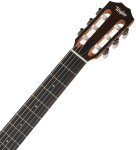 Taylor Academy 12e-N LTD