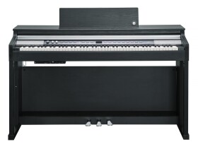 Kurzweil CUP P1 BK