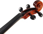 Bacio Instruments AA100
