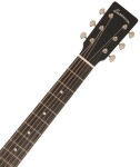 Eastman E3De