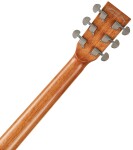 Tanglewood TUN 5 CE