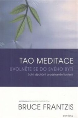 Tao meditace - Bruce Frantzis