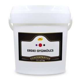 Dortisimo Ochucovací pasta Lesní plody (4,5 kg)