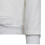 Adidas Entrada 22 Hoody Jr HG6303