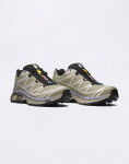 Salomon XT-6 Gore-Tex Eucalyptus/Silves/Cosmic 42