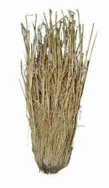 Lucky Reptile Grass Bushes 25-40 cm (FP-64075)