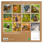 Kalendář 2024 poznámkový: Zvířátka z lesa, 30 × 30 cm