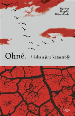 Ohně. Láska a jiné katastrofy - Sigrídur Hagalin Björnsdóttir