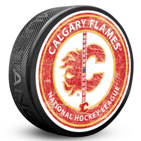 Mustang Puk Calgary Flames NHL Center Ice