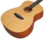 Tanglewood TR 3