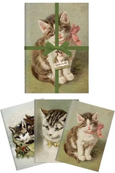 Sada tří notýsků Cats
