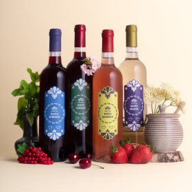 Bzůčo kolekce ovocných vín 4×750 ml | Včelařství Domovina