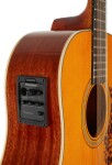 Tanglewood TW40-12 SD AN E Pickguard