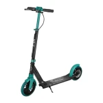 NILS Extreme HM181T Koloběžka s kotoučovou brzdou (5907695522389)