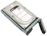 DELL 16TB / HDD / 3.5" SAS III / 256MB cache / 5y (161-BCJX)