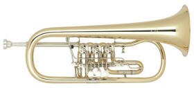Miraphone 25 1100A100